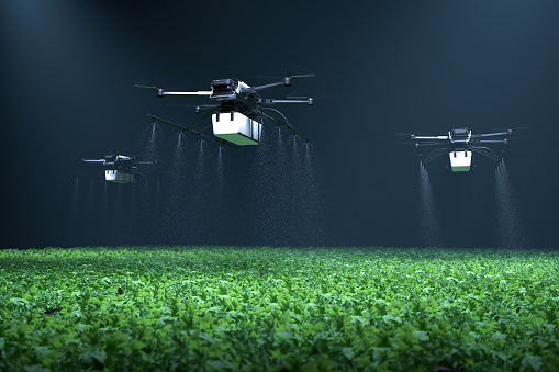 Drone spraying fertilizer on vegetable green plants